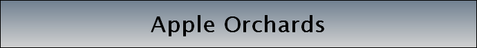 Apple Orchards