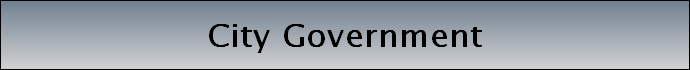 City Government